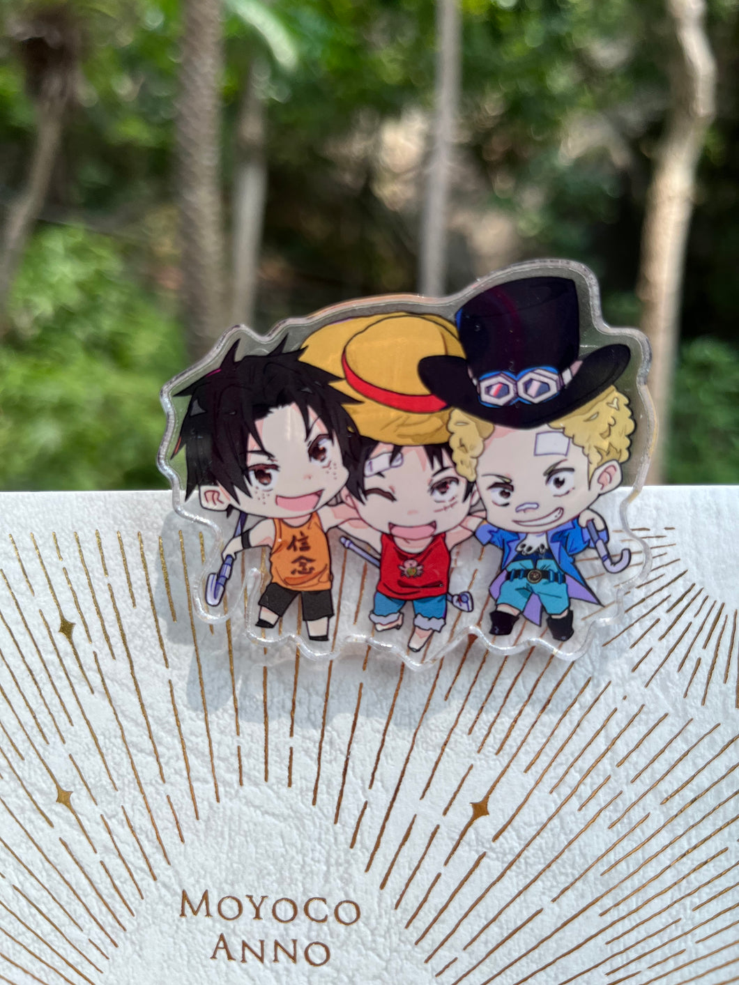 Acrylic clip - One piece